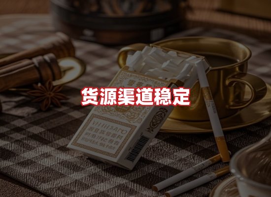 专业团队